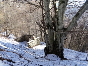 da bocca di Cocca a bocca di Valle (43)