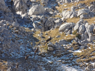 2013-11-13 valle scura Vigna Vaga 040