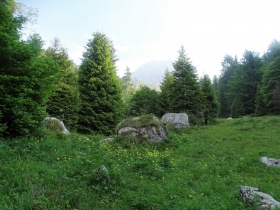 2017-06-14 Valle Scura e Ferrante (12)