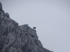 2017-06-14 Valle Scura e Ferrante (23)