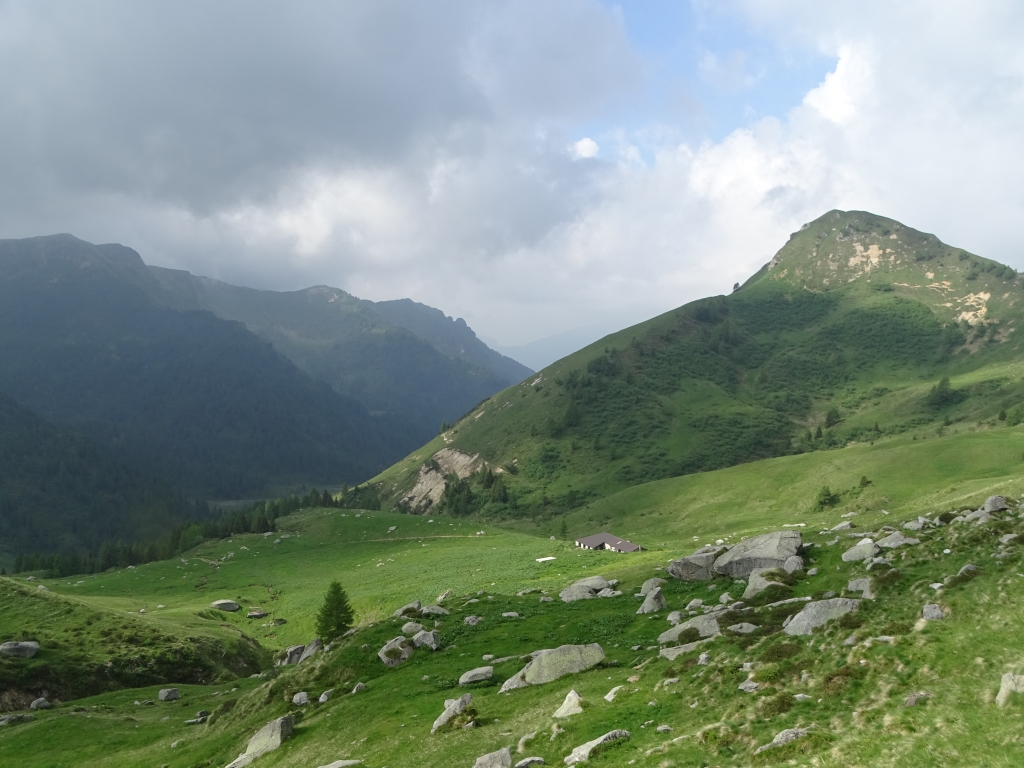 2016-06-26 monte Boia Gaver (20)