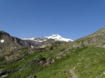 2015-07-04_05 rifugio Corsi (129)