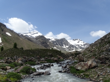 2015-07-04_05 rifugio Corsi (132)