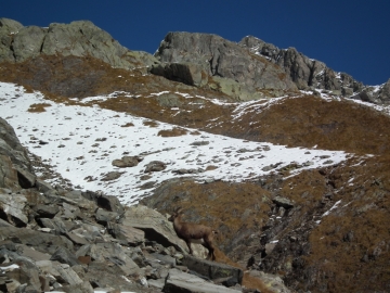 12 2011-10-31 valle Avert 045