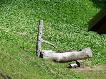 2019-06-08 m.te Grotta Rossa (29)