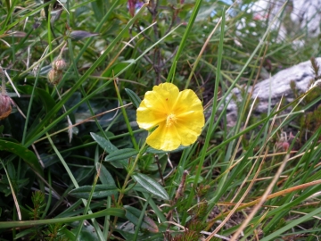 2011-07-24 alben e croce 182