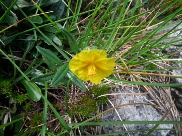 2011-07-24 alben e croce 185