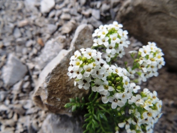 2012-07-01-Bagozza-Cimon-015