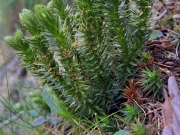 17-Giugno-2023-Fabrezza-Bos-18