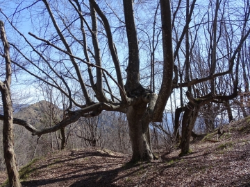 2015-04-08 monte Zingla Campei 021