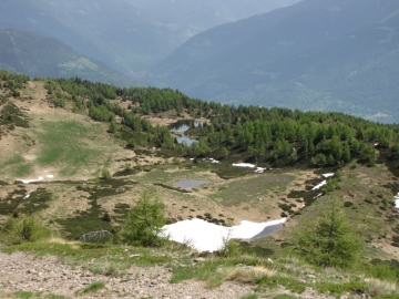 2009-05-24 piz Tri 048