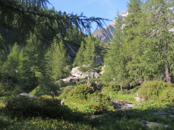 08 2013-07-24 laghi del Torena Nero Verde Lavazza 005