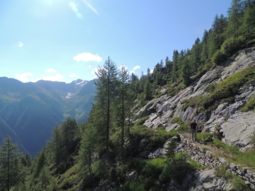 36 2013-07-24 laghi del Torena Nero Verde Lavazza 015