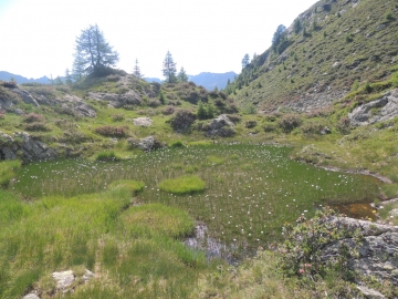 60 2013-07-24 laghi del Torena Nero Verde Lavazza 022