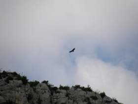 2008-08-27 verdon capovaccaio (8)