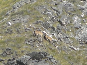 2013-09-21 L'impervio Telenek 015b