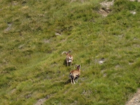 2013-09-21 monte Telenek 011