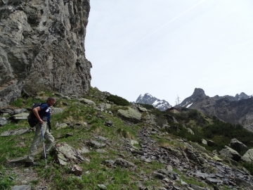 2015-05-12 barbellino stambecchi 045