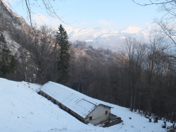 16 2012-03--07 passo Puria e Tignalga camosci 034