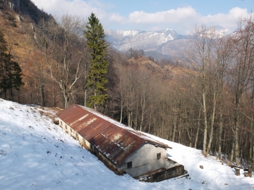 18 2012-03--07 passo Puria e Tignalga camosci 076