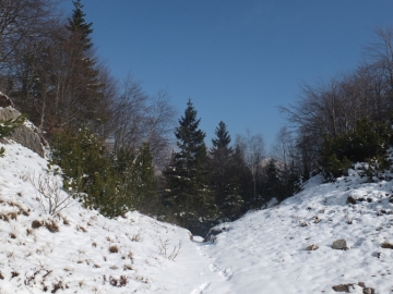 26 2012-03--07 passo Puria e Tignalga camosci 036