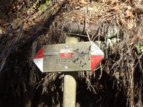 2017-02-18 valle delle Tese (27)