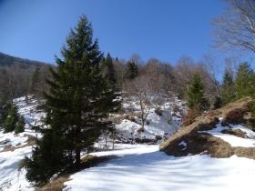 2017-02-18 valle delle Tese (31)