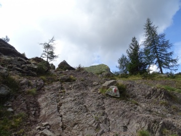 2022-08-26-laghi-Bruffione-28