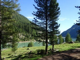 2016-08-07 laghi giallo e verde Gioveretto (11)