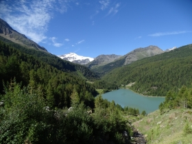 2016-08-07 laghi giallo e verde Gioveretto (13)