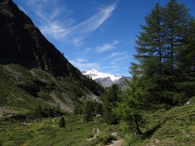 2016-08-07 laghi giallo e verde Gioveretto (15a)