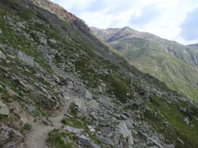 2018-07-10 laghi della Forcola e Primula integrifolia 025