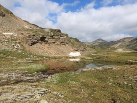 2018-07-10 laghi della Forcola e Primula integrifolia 044