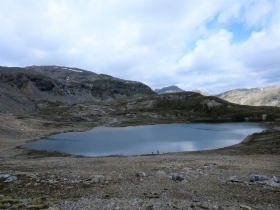 2018-07-10 laghi della Forcola e Primula integrifolia 064