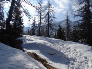 2022-03-20-laghi-di-Bruffione-20