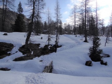 2022-03-20-laghi-di-Bruffione-22