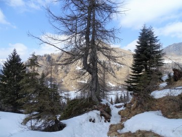 2022-03-20-laghi-di-Bruffione-48