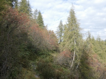 2020-09-20-giro-laghi-Carona-129