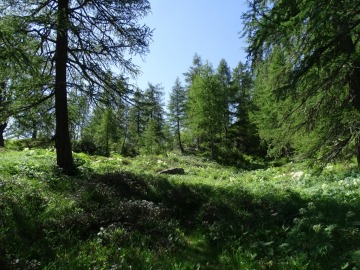 2021-06-23-laghi-Mignolo-30