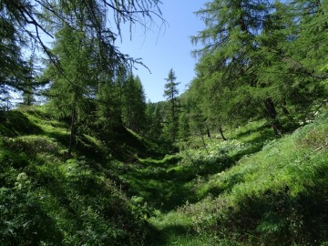 2021-06-23-laghi-Mignolo-31