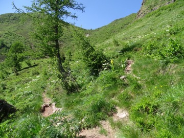 2021-06-23-laghi-Mignolo-36