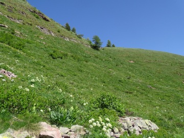 2021-06-23-laghi-Mignolo-39