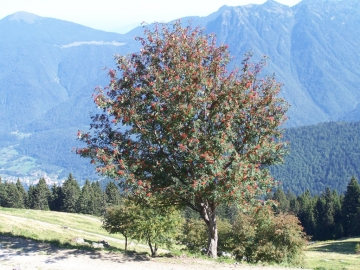 01 2006-09-01 valbona (24).jpg
