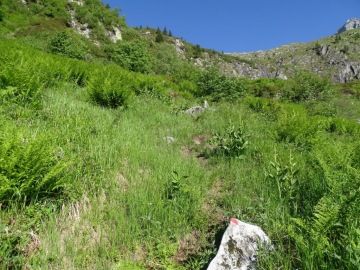 2022-06-11-laghi-Neri-in-val-Arno20