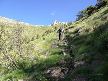 2022-06-11-laghi-Neri-in-val-Arno28