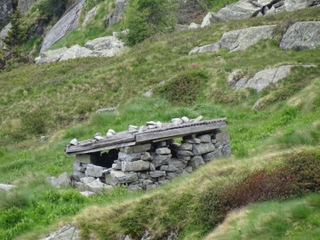 2022-06-11-laghi-Neri-in-val-Arno77