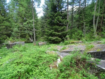 2022-06-11-laghi-Neri-in-val-Arno79