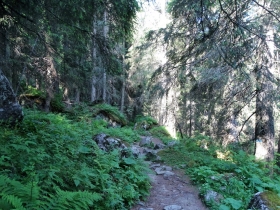2017-06-24 laghi di S.Giuliano (15)