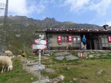 2023-08-26-giro-dei-laghi-di-Valgoglio-20