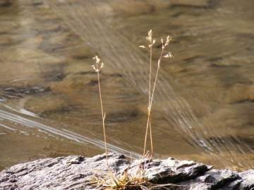 2008-10-19 Lago Torsolazzo 014